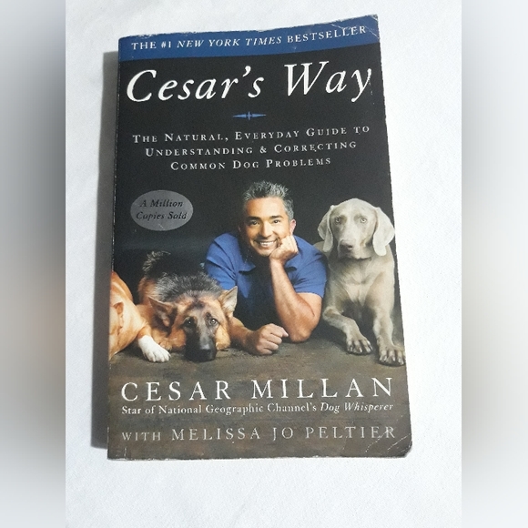 Other Cesars Way Deck 5 Tips For Training And Understanding Your Dog